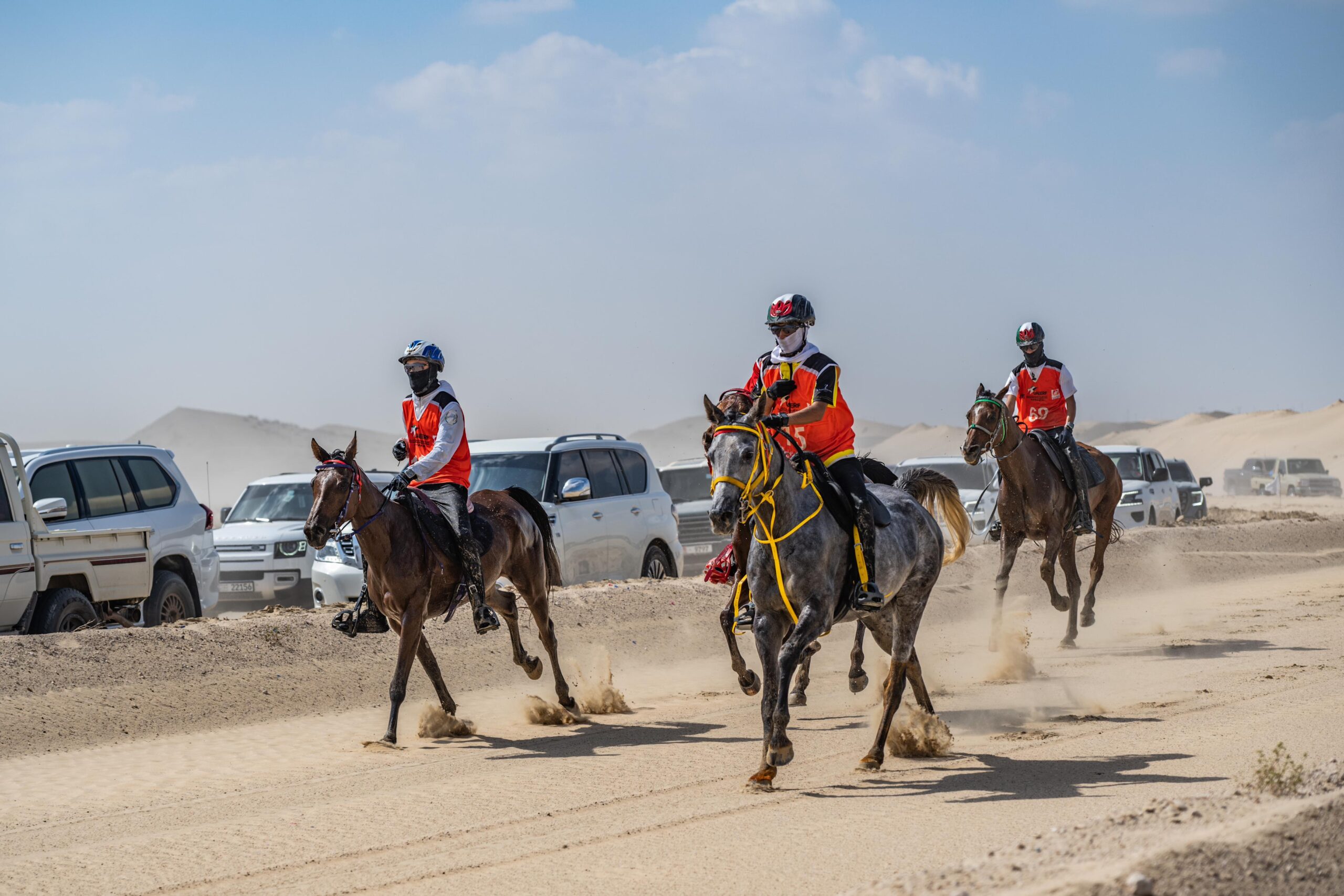 مهرجان سلطان بن زايد للقدرة يستأنف فعالياته
